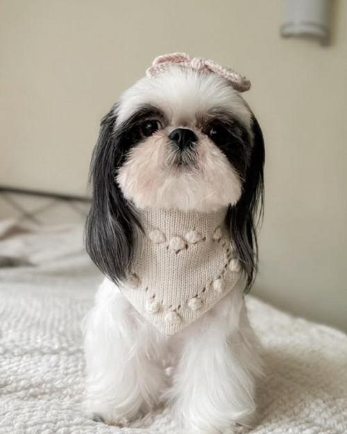 Heartbeats Reversible Dog Bandana