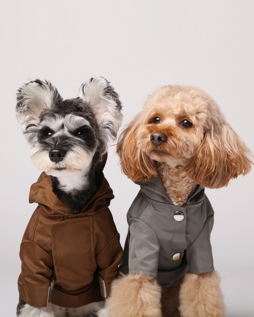 Lightweight rain jacket for small dogs, perfect for French Bulldogs or Chihuahuas.