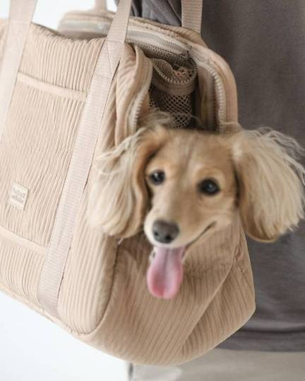 Stylish camel dog carrier bag, offering both comfort and fashion for your pup
