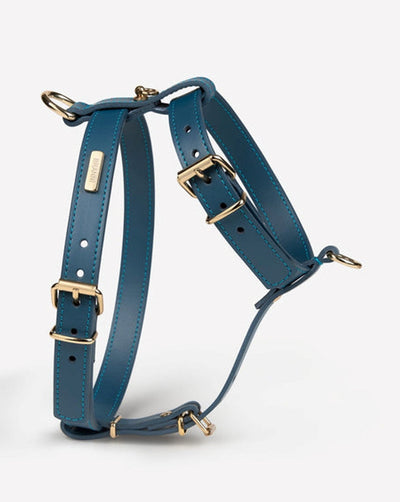Palermo Blue Leather Dog Harness