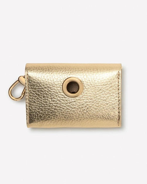 Matching gold collar and leash for luxury dog walks, best for Schipperkes and Swedish Vallhunds