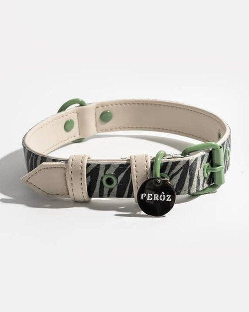 Stylish green zebra collar for dogs, ideal for trendy pups like Beagles and Chihuahuas.