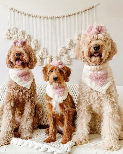 Stylish pink hair bow for dogs, ideal for accessorizing and completing any outfit