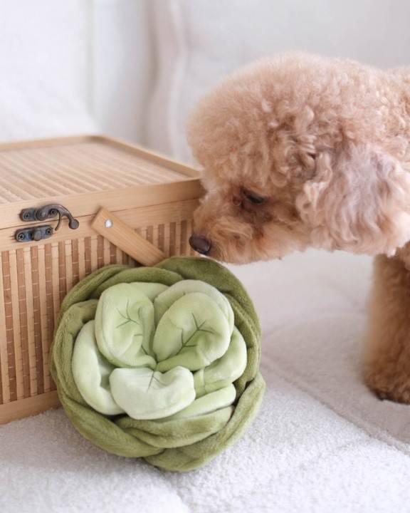 Lil Sprout Cabbage Snuffle Dog Toy