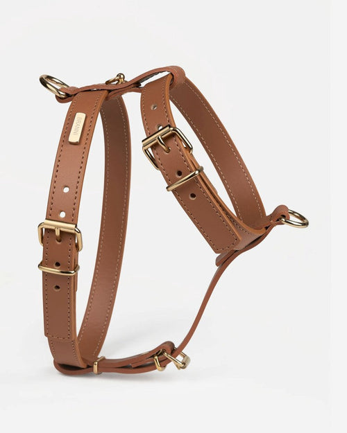 Angled view of camel leather dog harness with matching leash, highlighting adjustable straps and premium stitching for dog comfort