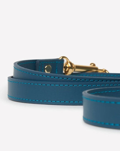 Nara Blue Leather Dog Leash 