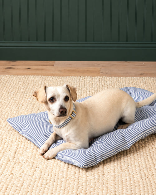 Sweet Escape Blue Stripe Settle Mat