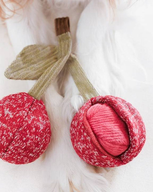 Soft cherry dog toy with squeaky interior – great for dogs who love fruit-themed toys