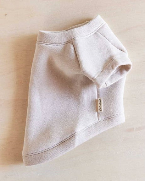 Beach Baby Dog Sweatshirt beagle apparel