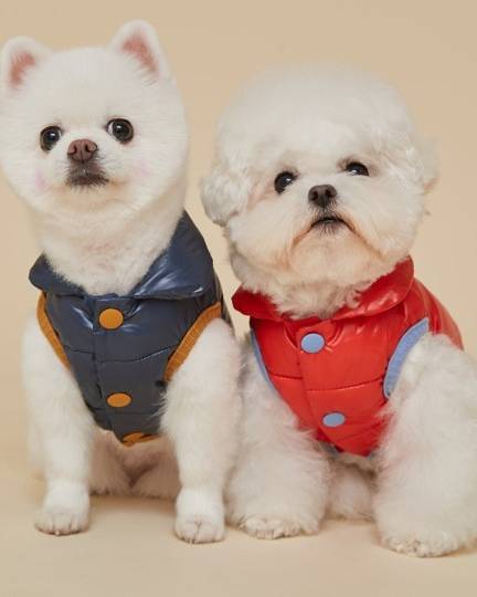 Navy Cloud Puffer Vest. puffer jacket for french bulldog 