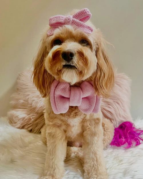 Bright pink dog hair bow, perfect for accessorizing your pup&