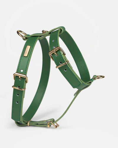 Palermo Green Leather Dog Harness