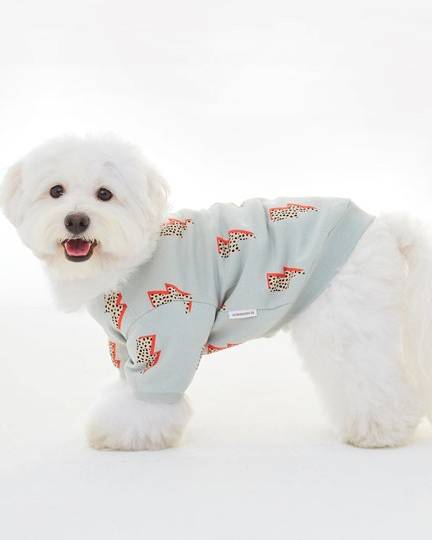Dog Sweatshirt summer clothes for french bulldogs