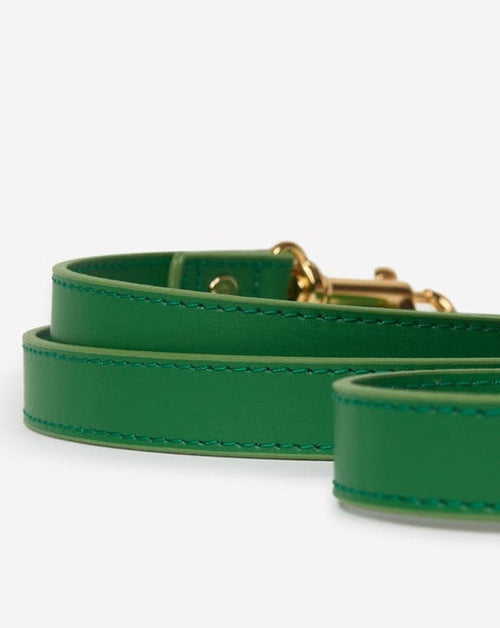 Nara Green Leather Dog Leash