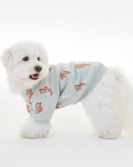 Dog Sweatshirt shirts for pugs