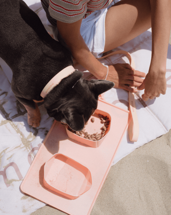 On the Go! Peach Portable Dog Bowls