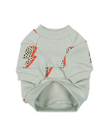 Dog Sweatshirt small chihuahua clothes