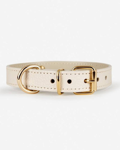 Ivory leather dog collar with gold hardware, showcasing elegant design and craftsmanship