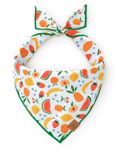 Cute fruit salad summer dog bandana, a fun and fruity accessory for sunny days
