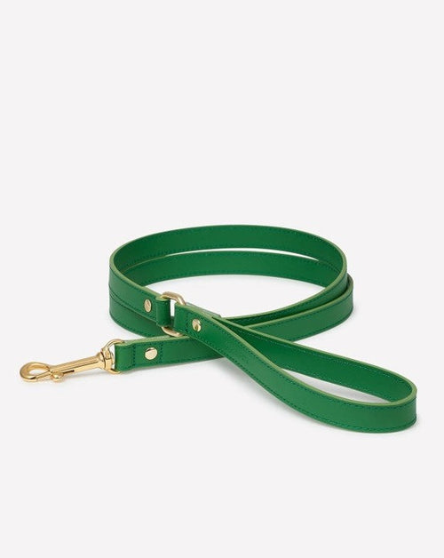 Nara Green Leather Dog Leash