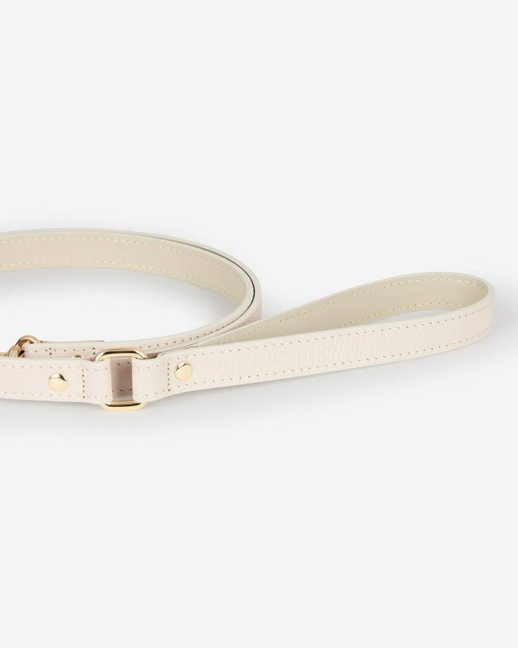 Soft ivory dog harness and leash set with adjustable straps, offering a personalized fit for any dog.
