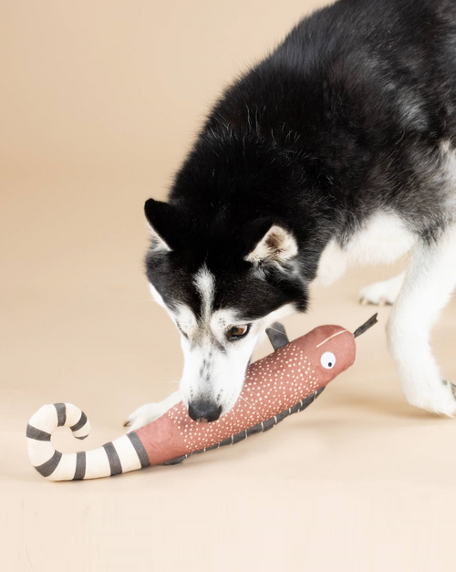 One in Chameleon Canvas Dog Toy