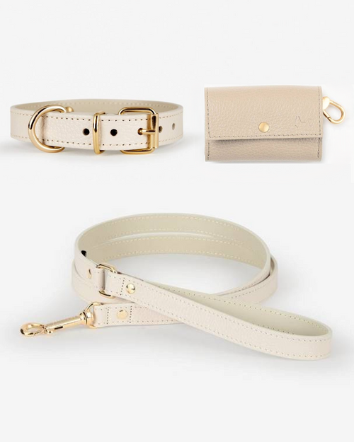Ivory dog walk kit with a soft, adjustable harness and durable leash for everyday comfort and style.