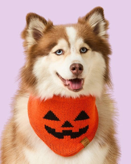 Punkin&