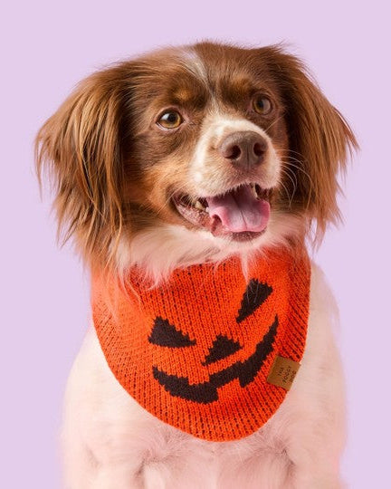 Punkin&