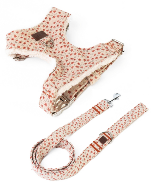Floral dog harness and leash set in soft pastel colors – perfect for spring walks