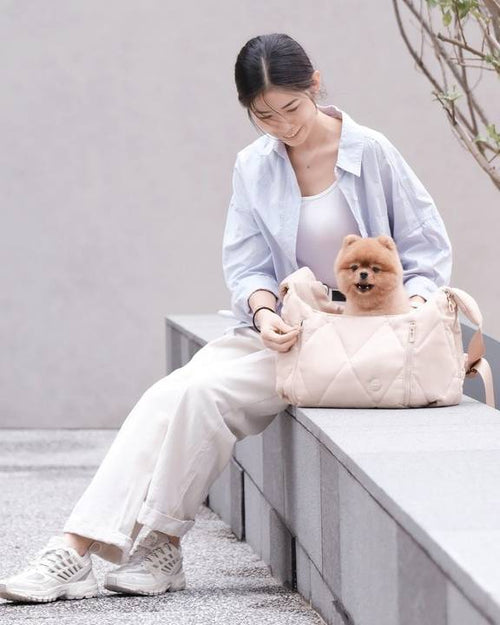 Black Quilted Crossbody Pet Carrier - Practical, stylish, and perfect for any outing with your dog!