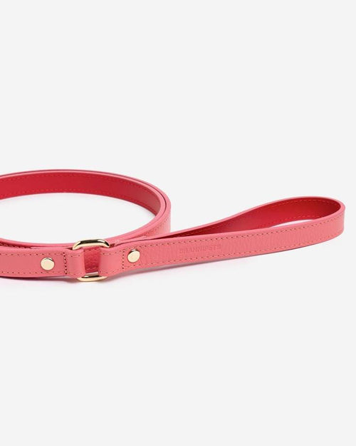 Close-up of pink leather leash handle, highlighting comfort and elegance