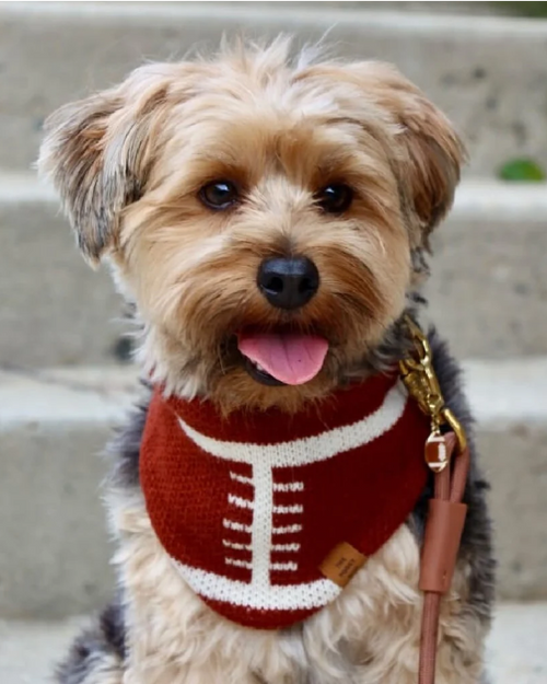 Huddle Up Pup Knit Dog Bandana