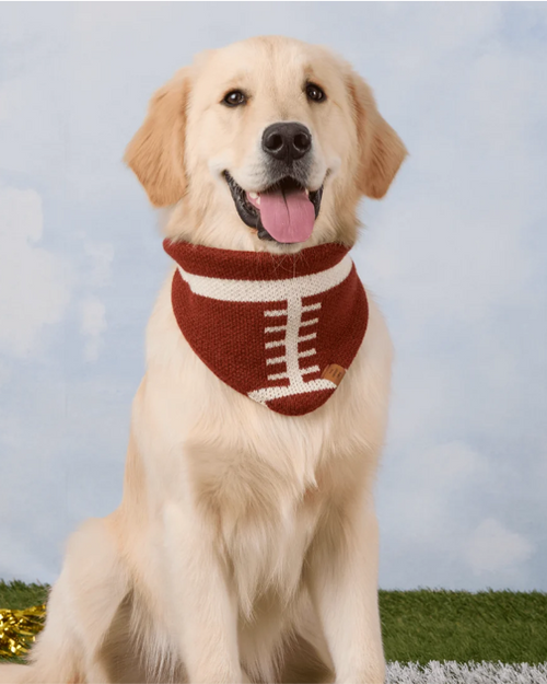Huddle Up Pup Knit Dog Bandana
