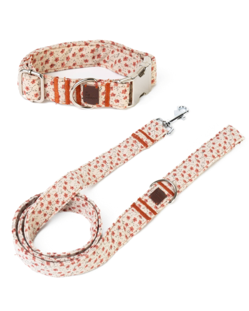 In Bloom Floral Dog Collar + Leash Walk Kit
