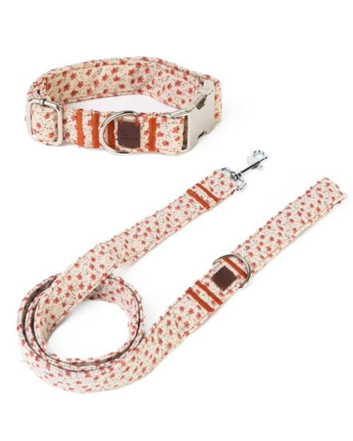 Pastel floral dog collar and leash walk kit – charming and durable design