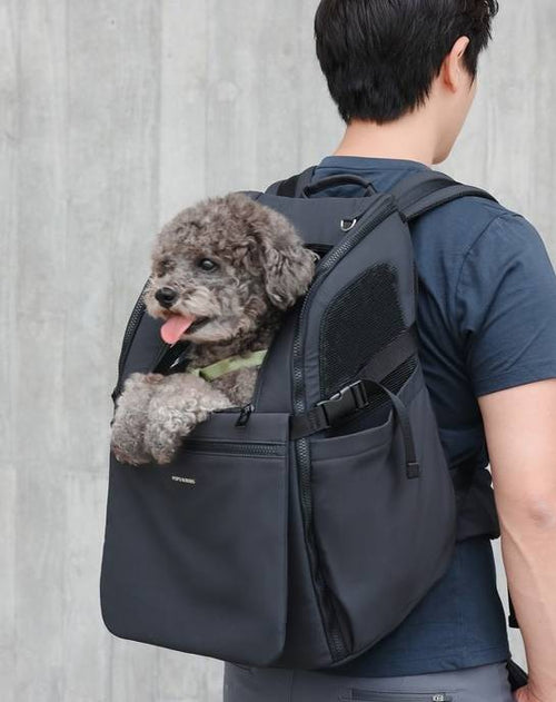 Pet Carrier Backpack in black, stylish and functional for carrying pets comfortably.
