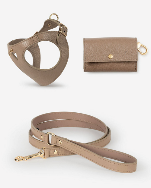 Taupe dog walk kit with adjustable harness and matching leash, designed for comfort and style during walks.
