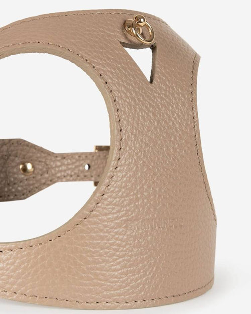 Back view of taupe dog harness, showcasing adjustable fit and leash attachment