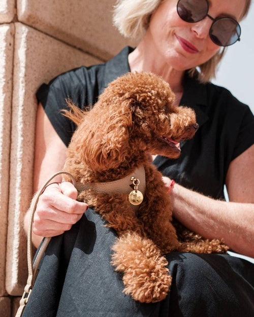 Detailed view of taupe leather leash handle, emphasizing comfort and quality