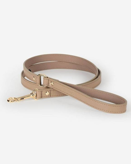 Taupe leather dog leash with gold clasp, offering durability and style