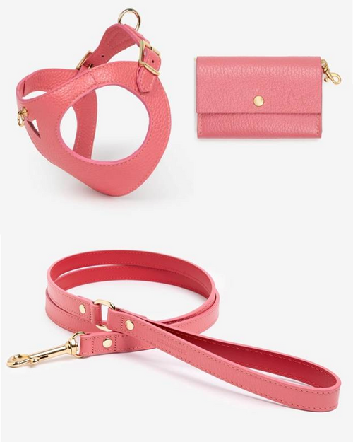 Vibrant coral dog walk kit with adjustable harness and matching leash, perfect for stylish outdoor strolls.