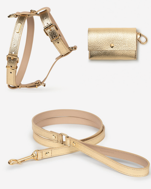 Elegant gold dog walk kit with soft, adjustable harness and leash set for stylish outdoor adventures.