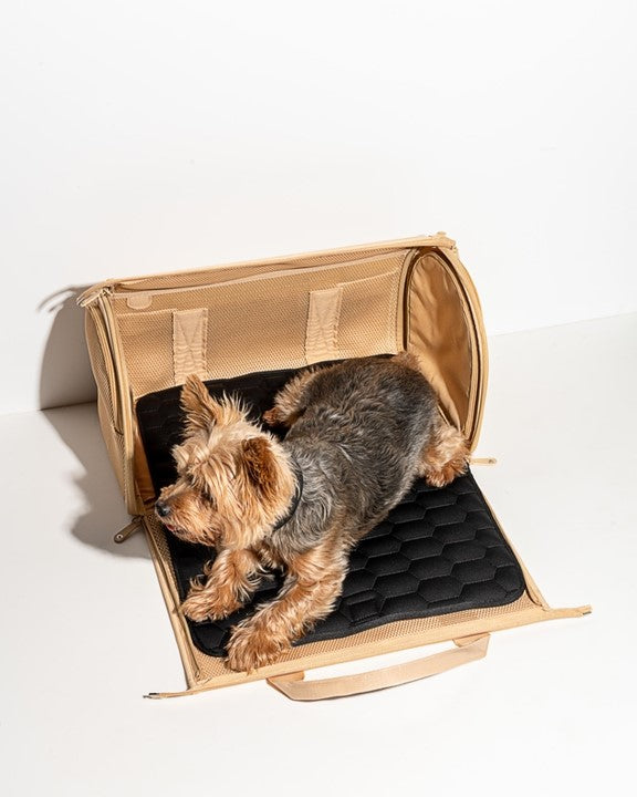 Wild One Travel Carrier Tan