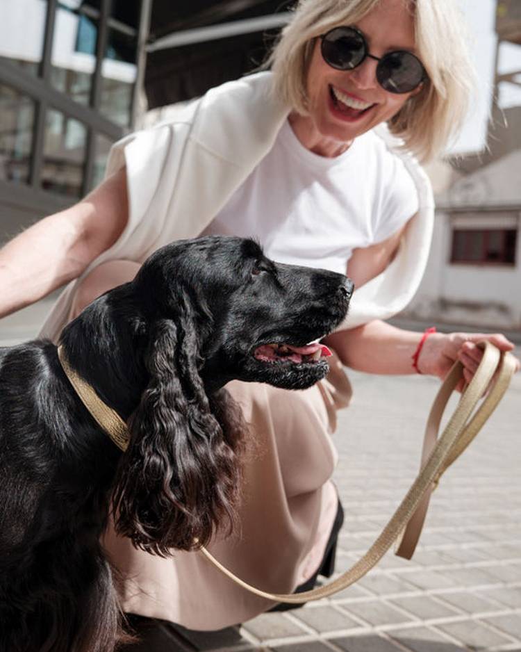 Premium gold leather leash, perfect for trendy pets on the go.