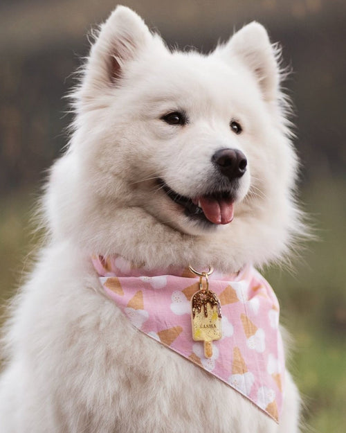 Sweet Tooth Pink Dog Bandana