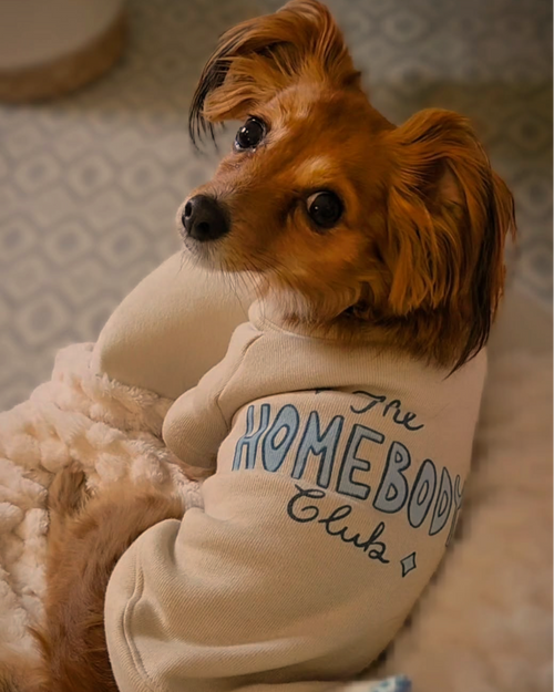 The Homebody Club Dog Sweatshirt