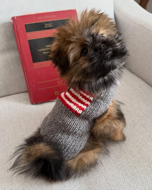 Red, White + Woof American Flag Dog Sweater