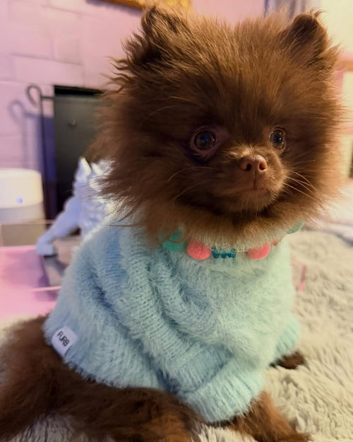 Bobbi Mint Eyelash Knit Dog Sweater