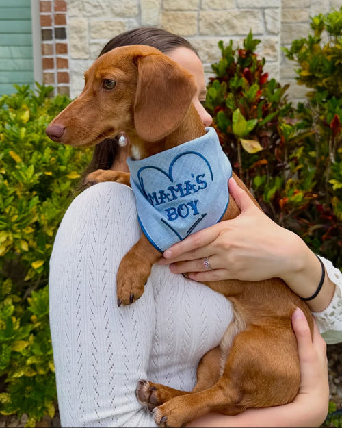 Everyday pet fashion bandana with Mama&